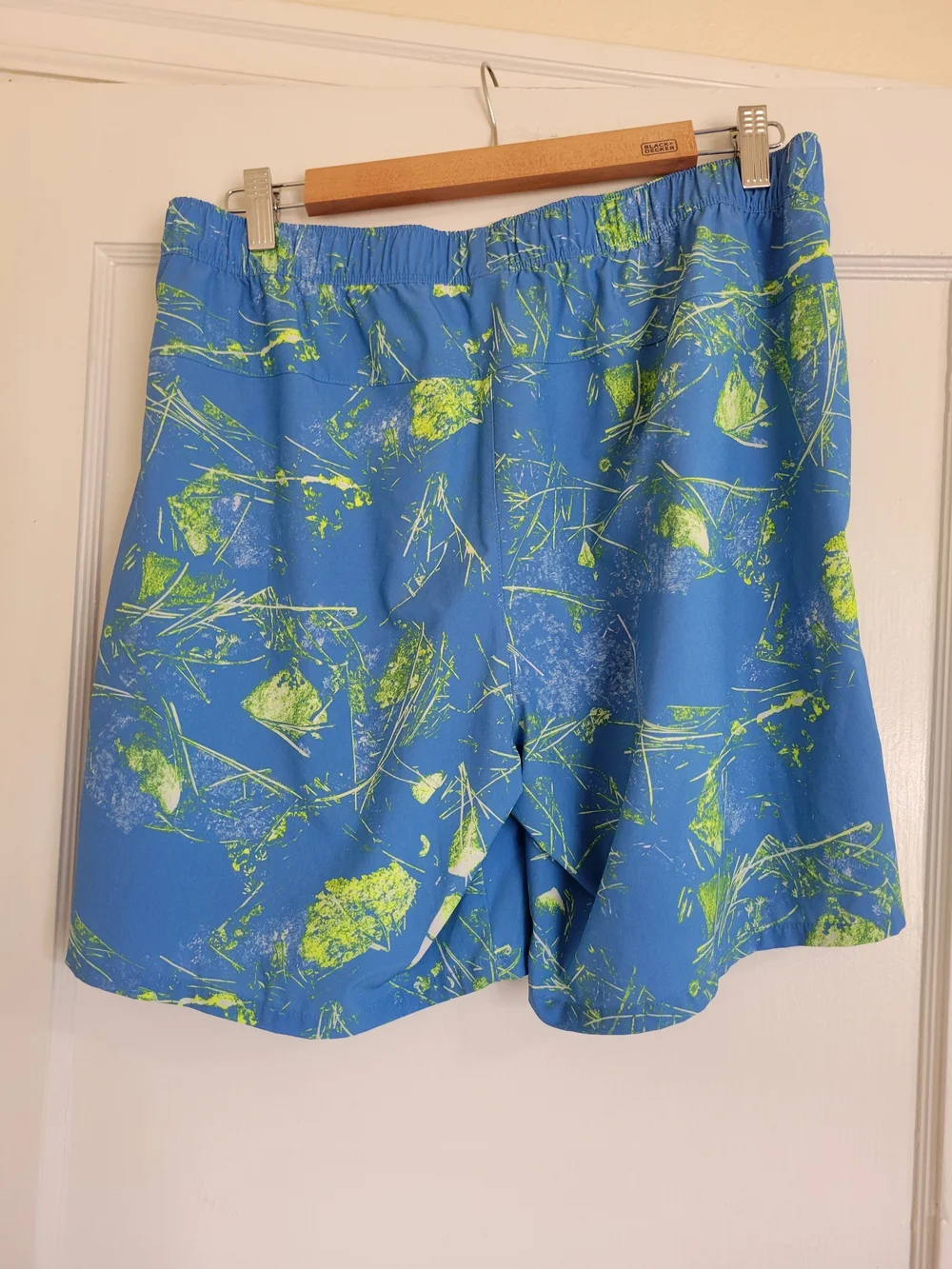 The North face Wander Blue Green Mens Shorts Size Large